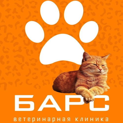 Барс