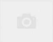 Мастер-Стриж