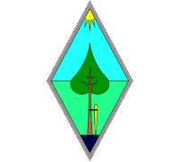 Второй позвоночник